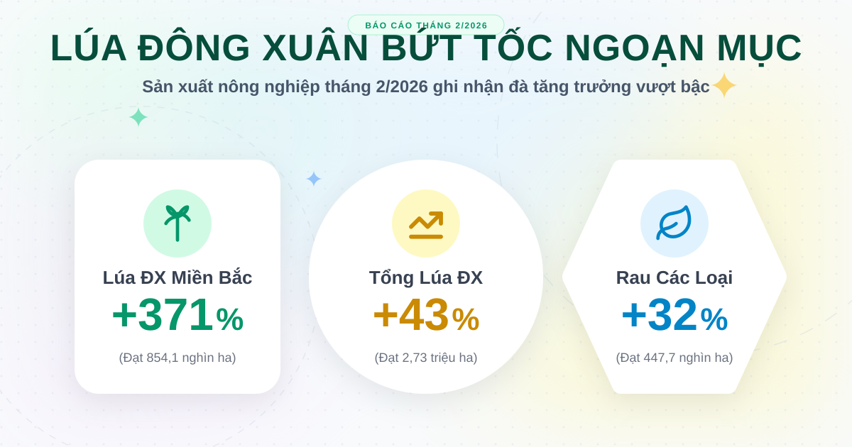 Tình hình trồng trọt tháng 2/2026: Lúa đông xuân tăng tốc