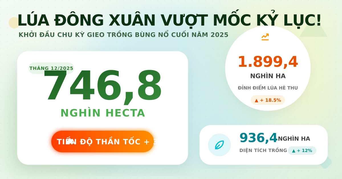 Trồng trọt tháng 12/2025: Lúa đông xuân đạt 746,8 nghìn ha