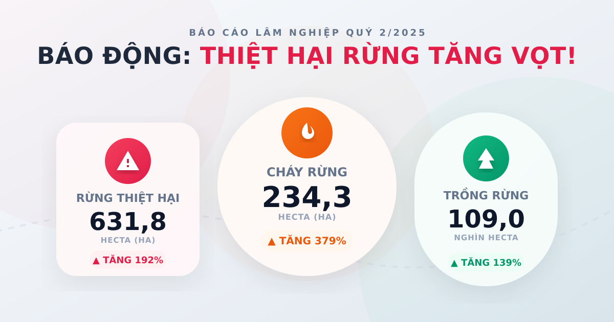 Báo cáo lâm nghiệp Q2/2025: Trồng rừng tăng, thiệt hại báo động