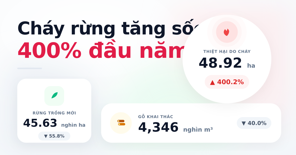 Lâm nghiệp Việt Nam Q1-2025: Biến động diện tích, sản lượng