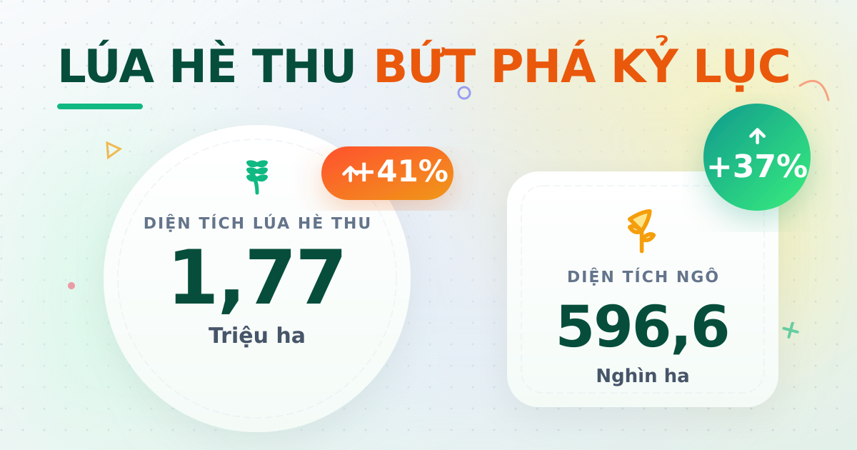 Diện tích trồng trọt tháng 6/2025: Lúa hè thu bứt tốc