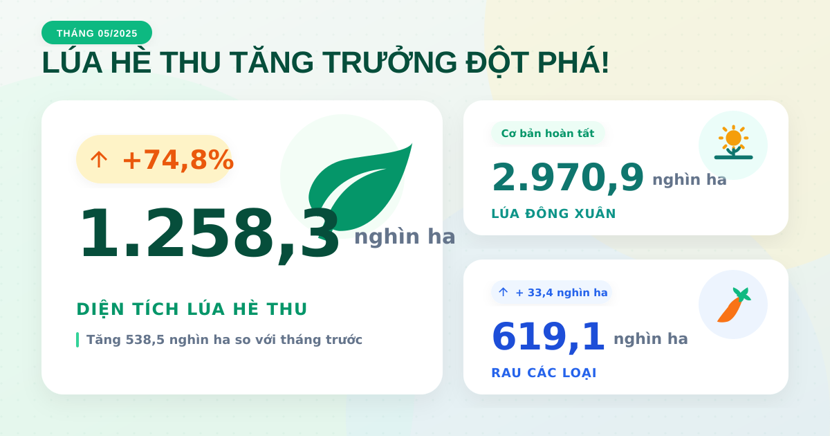 Tình hình trồng trọt tháng 5/2025: Lúa Hè Thu tăng tốc