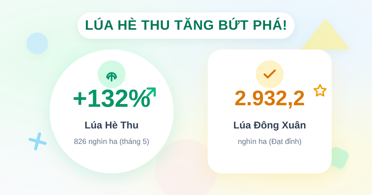 Trồng trọt tháng 5/2026: lúa hè thu tăng tốc, đông xuân đạt đỉnh